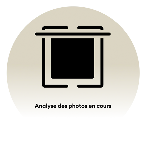 2. Laissez le HairScan IA procéder à l'analyse