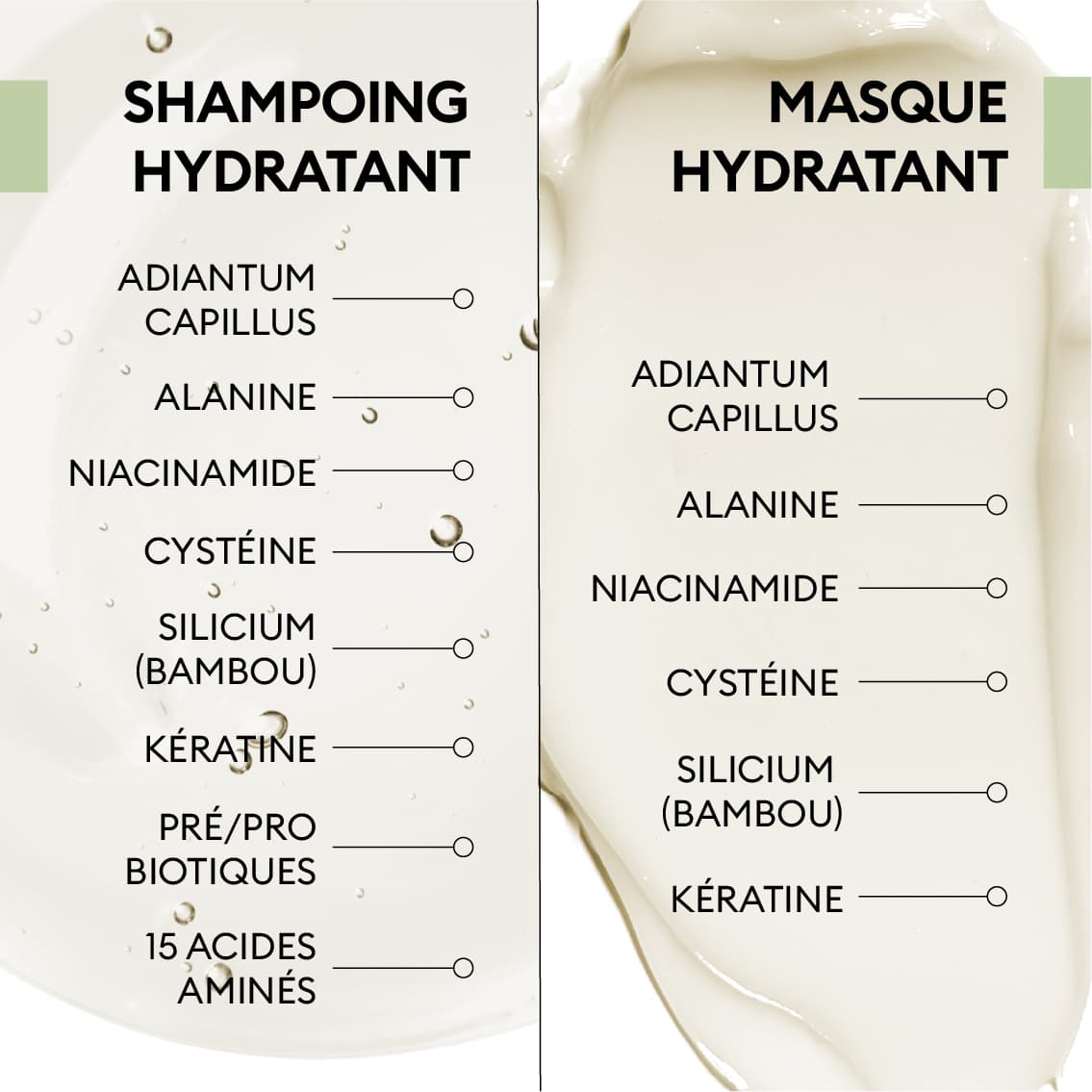 Duo Hydratant Cheveux Secs