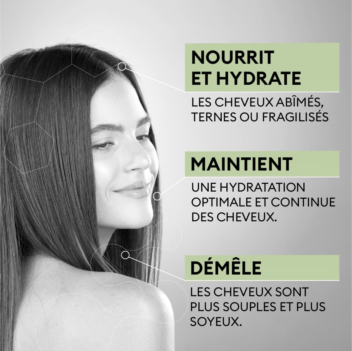 Masque Hydratant Cheveux Secs