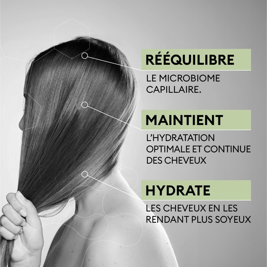 Shampoing Cheveux Secs Sans Sulfates Et Sans Silicones Laboratoires shampoing-cheveux-secs-sans-sulfates-et-sans-silicones-laboratoires