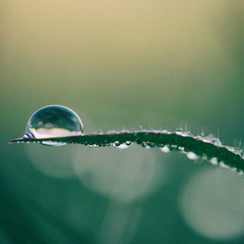 glycerine-vegetale-bio