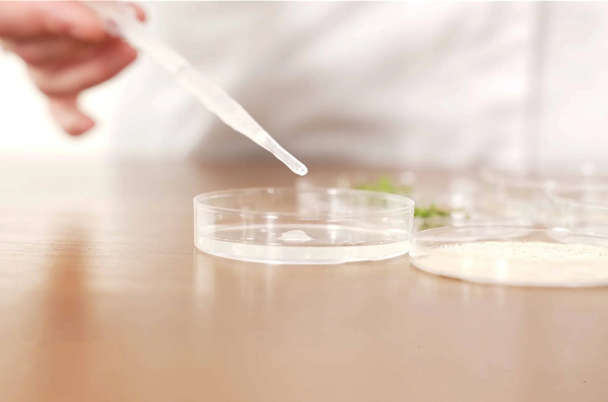 Nos études scientifiques
