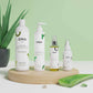 Aloe Vera Daily Moisturizing Set - Shampoo &amp; Mask &amp; Oil &amp; Spray